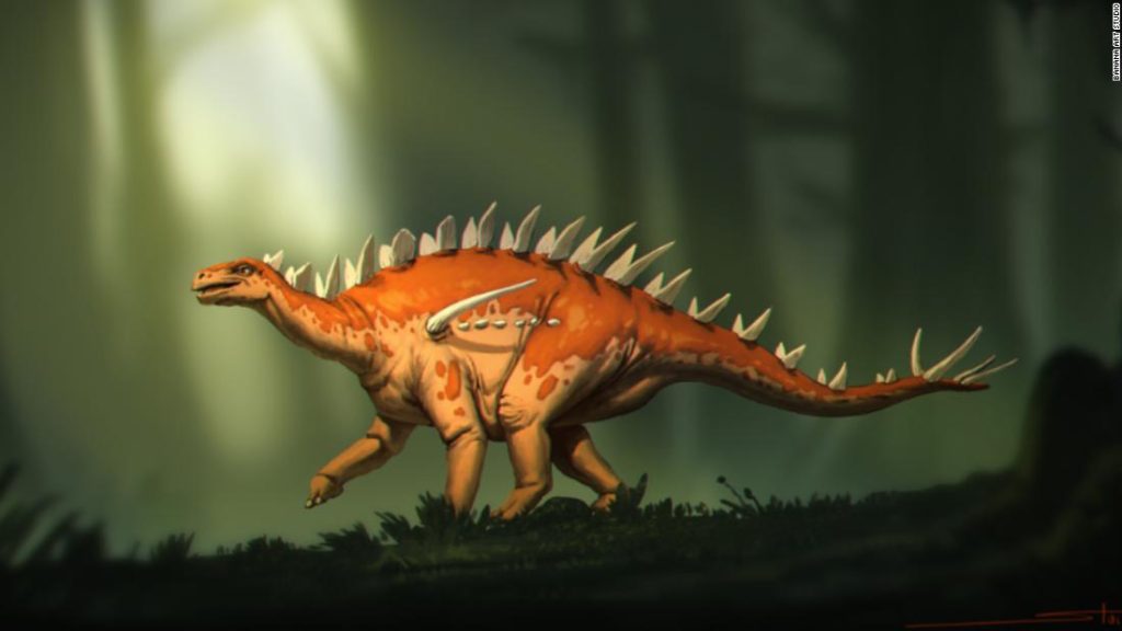Odkryte skamieniałości stegozaura mają „dziwną mieszankę cech”