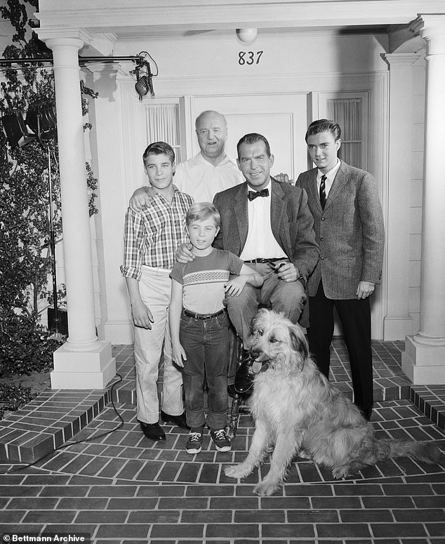 Epidemia: Po sukcesie z Disneyem w latach 50. Considine zagrał w My Three Sons od 196 do 1965, choć serial trwał do 1972;  Na zdjęciu obok Don Grady, Stanley Livingston, William Frawley i Fred McMurray