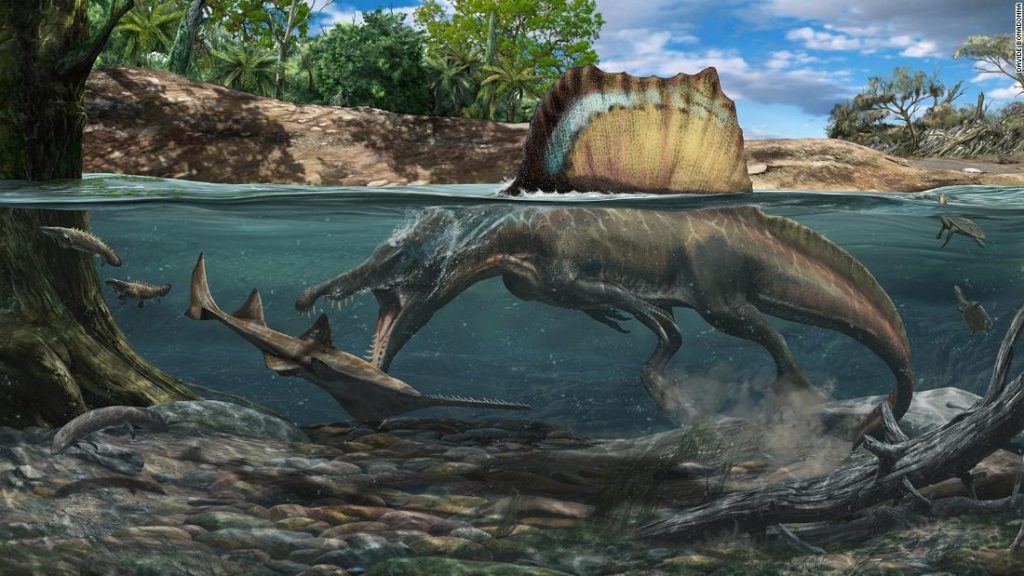 Dinozaur większy od T. rexa pływał i polował pod wodą
