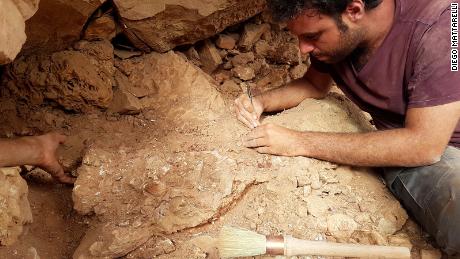 Paleontolog Matteo Fabri pracuje nad skamieniałością w terenie.
