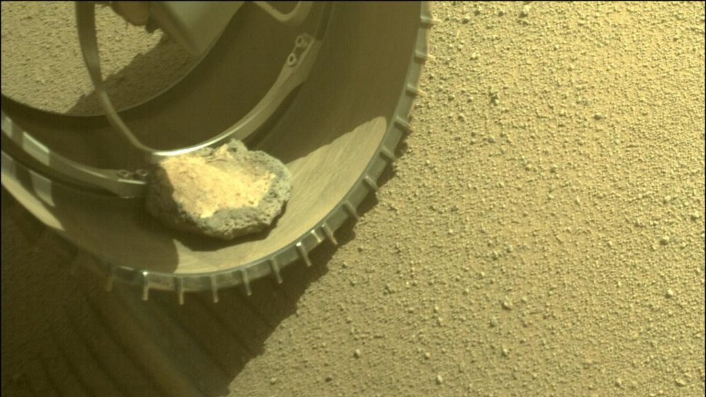 Łazik Perseverance NASA na Marsie ma swojego „skalnego zwierzaka”