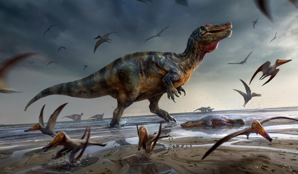 Największy drapieżny dinozaur w Europie odkryty na wyspie Wight