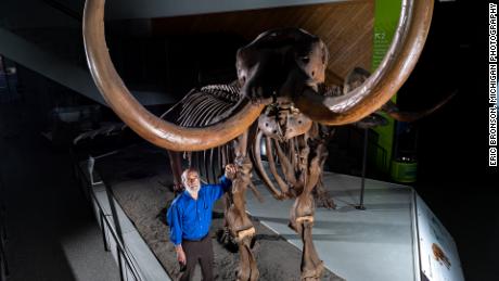 Paleontolog z Uniwersytetu Michigan, Daniel Fisher, pozuje ze złożonym szkieletem mastodonta Bueschinga.  Fotografia autorstwa Erica Bronsona, Fotografia w stanie Michigan.