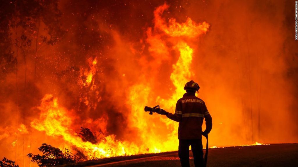 Fala upałów w Europie: Wielka Brytania przeżywa trzeci najgorętszy dzień w historii, pożary buszu szaleją we Francji i Hiszpanii