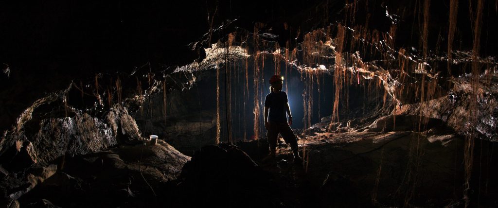 Starożytna „ciemna materia” drobnoustrojów — tysiące nieznanych gatunków bakterii odkryto w jaskiniach lawowych na Hawajach