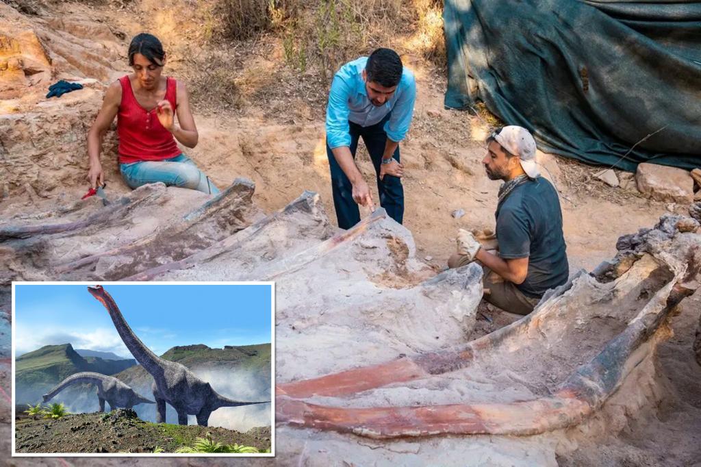 Szkielet dinozaura o wysokości 82 stóp został znaleziony na podwórku pewnego mężczyzny w Portugalii