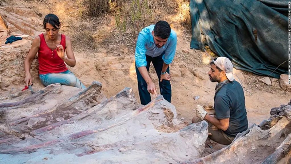 Odkryj klatkę dinozaura na podwórku Portugalii
