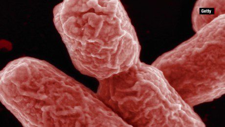 Szybkie fakty dotyczące epidemii E. coli
