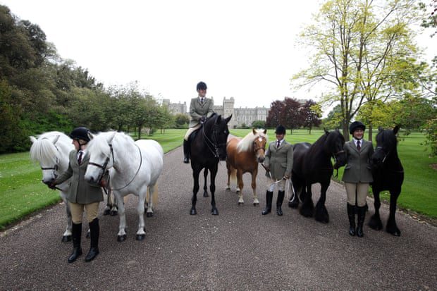 Emma, ​​​​w tym ujęciu kilku koni królowej, w 2020 roku na terenie zamku Windsor