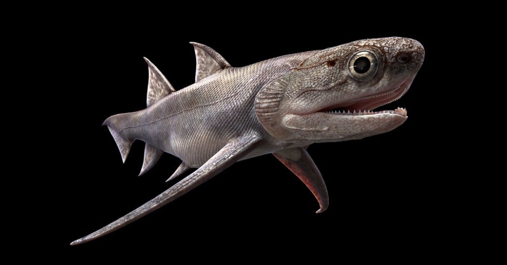 Skamieniałe ryby ujawniają najstarsze znane „szczęki”