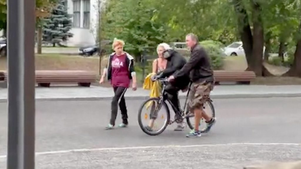Szympans ucieka z zoo w Charkowie i wraca w płaszczu przeciwdeszczowym na rowerze