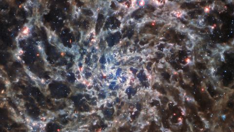 Teleskop Webba dostrzegł galaktykę spiralną IC 5332, znajdującą się 29 milionów lat świetlnych od nas.