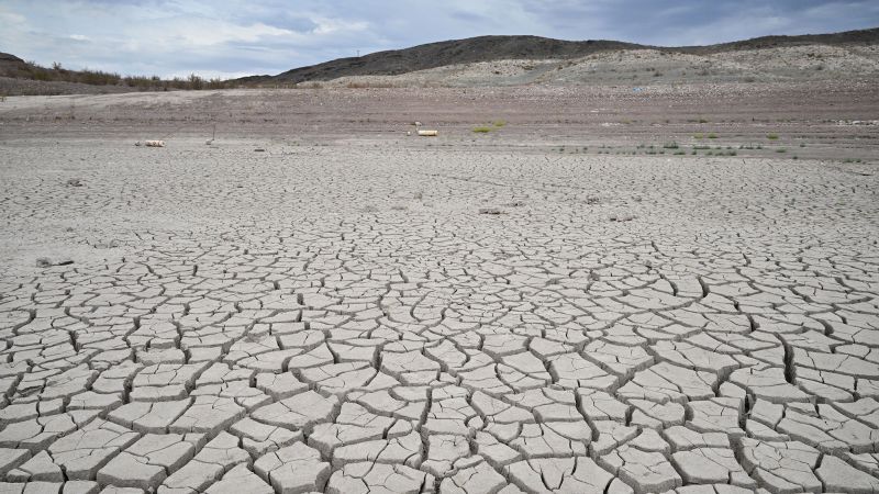 Ciężka susza na półkuli północnej „prawie niemożliwa” bez zmiany klimatu
