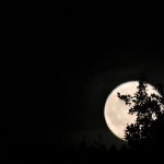 Kiedy zobaczysz październikową pełnię księżyca, deszcz meteorów, Merkurego w północnym Teksasie – NBC 5 Dallas-Fort Worth
