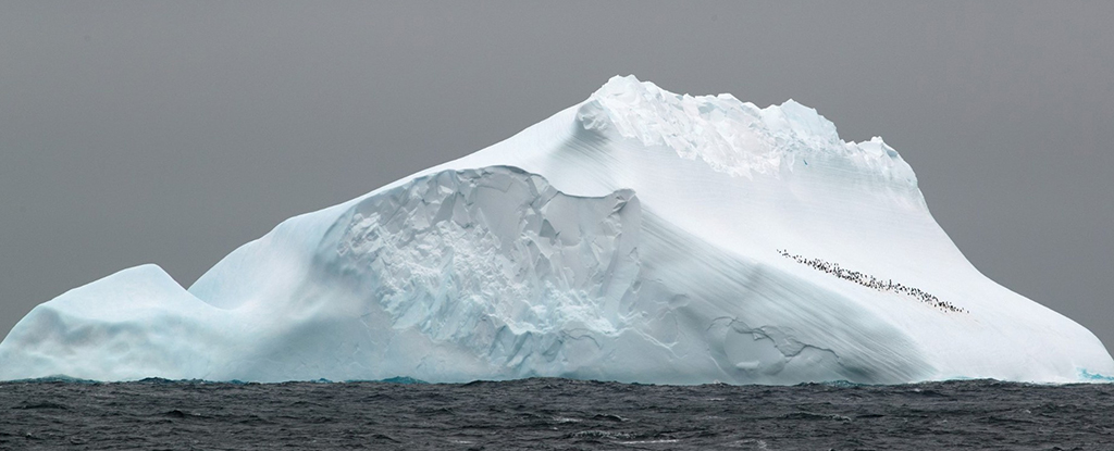 Starożytne DNA odkryte milion lat temu na Antarktydzie: ScienceAlert