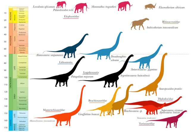 Dinozaury i gigantyczne ssaki na osi czasu
