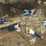 Plezjozaur: łowcy skamieniałości w Australii odkryli szkielet sprzed 100 milionów lat