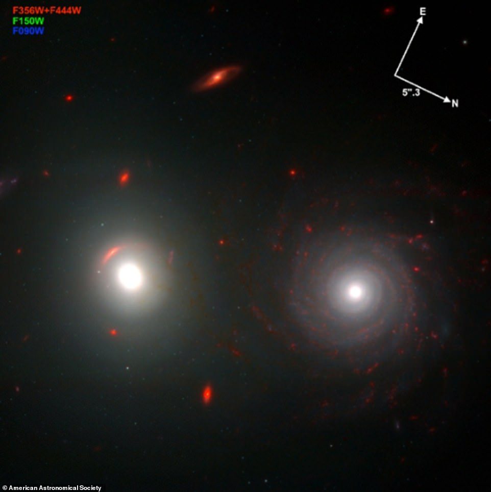 Obraz pokazuje również pojedyncze gromady kuliste wokół odległych galaktyk eliptycznych i węzły gwiazdotwórcze w galaktykach spiralnych (na zdjęciu)